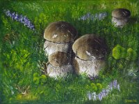 I Porcini  Olio su tela - 30 x 40